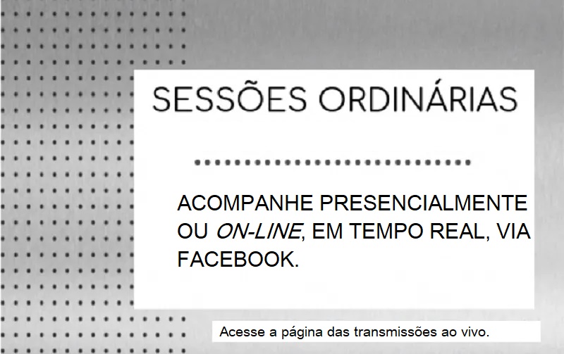 As Sessões da Câmara são transmitidas ao vivo pelo Facebook.